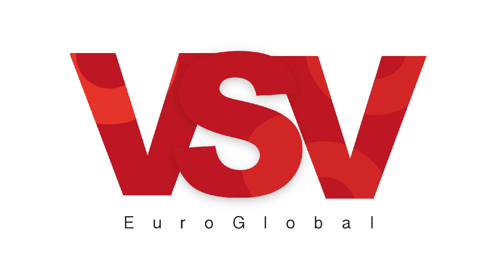 VSV EuroGlobal Logo